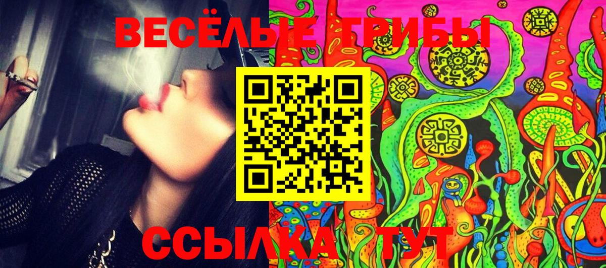 Псилоцибиновые грибы MAGIC MUSHROOMS Ивантеевка