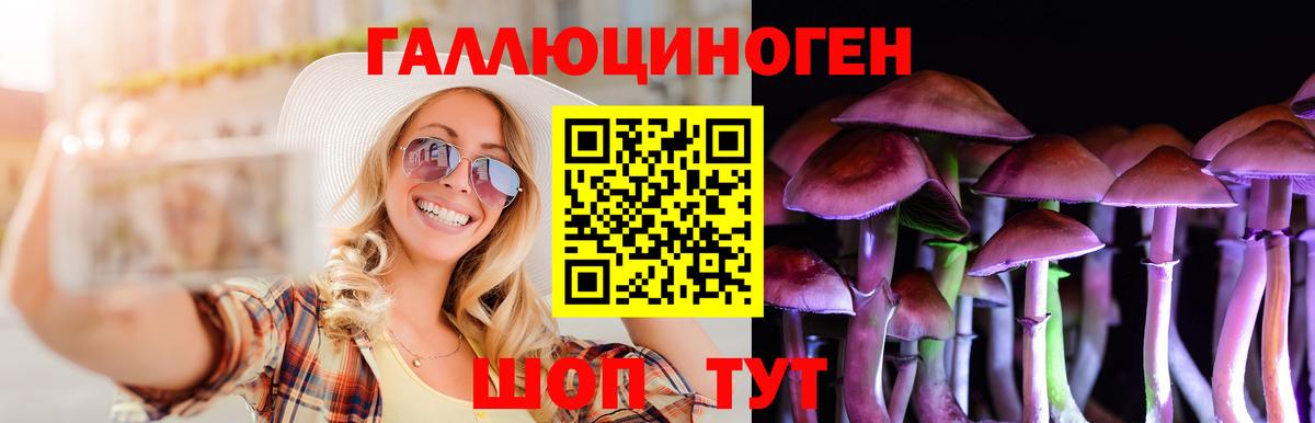 Галлюциногенные грибы ЛСД  Псилоцибиновые грибы Magic Shrooms  хочу наркоту  Вход с VPN  Ивантеевка 
